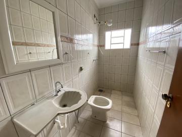 imagem 5 - Casa - Padrão imagem 5 - Casa - Padrão