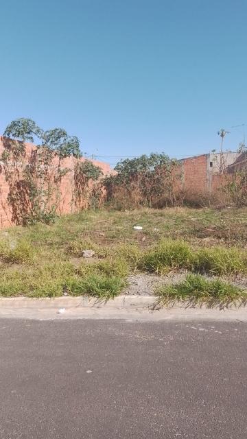 imagem 1 - Terreno - Padrão imagem 1 - Terreno - Padrão