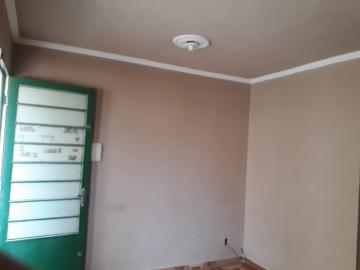 imagem 3 - Apartamento - Padrão imagem 3 - Apartamento - Padrão