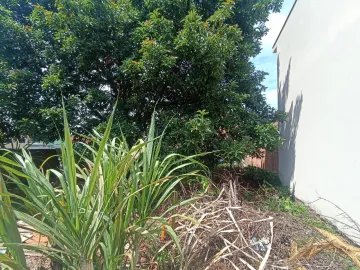 imagem 2 - Terreno - Padrão imagem 2 - Terreno - Padrão