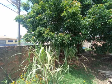 imagem 3 - Terreno - Padrão imagem 3 - Terreno - Padrão
