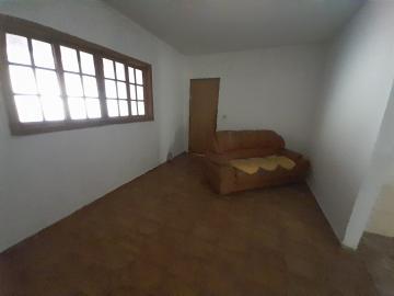imagem 5 - Casa da frente e do fundo inclusas no valor do aluguel. IPTU isento imagem 5 - Casa da frente e do fundo inclusas no valor do aluguel. IPTU isento