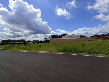 Alugar Terreno / Padrão em São Carlos. apenas R$ 204.780,00