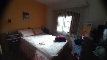 imagem 4 - Casa - Padrão imagem 4 - Casa - Padrão