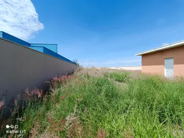 imagem 3 - Terreno no Parque Faber Castel II próximo ao Extra Hipermercado em São Carlos imagem 3 - Terreno no Parque Faber Castel II próximo ao Extra Hipermercado em São Carlos