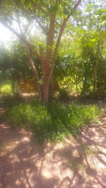 imagem 3 - Rural - Chácara imagem 3 - Rural - Chácara