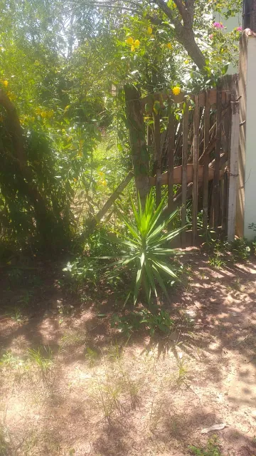 imagem 4 - Rural - Chácara imagem 4 - Rural - Chácara