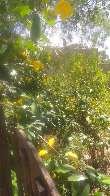 imagem 5 - Rural - Chácara imagem 5 - Rural - Chácara