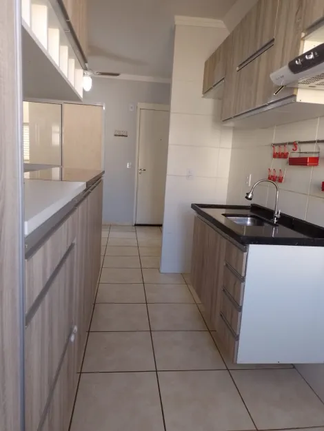 imagem 3 - Apartamento - Padrão imagem 3 - Apartamento - Padrão