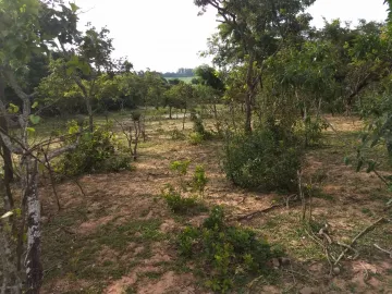 imagem 2 - Rural - Chácara imagem 2 - Rural - Chácara