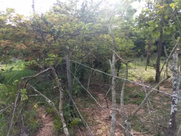 imagem 3 - Rural - Chácara imagem 3 - Rural - Chácara