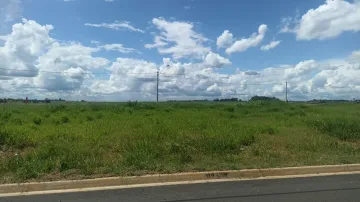 imagem 2 - Terreno - Padrão imagem 2 - Terreno - Padrão