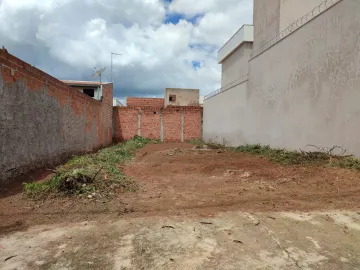 Alugar Terreno / Padrão em São Carlos. apenas R$ 122.000,00