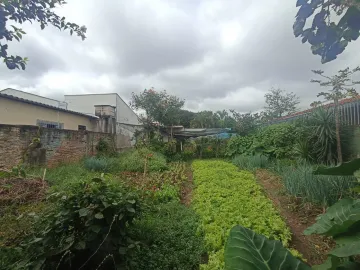 imagem 3 - Terreno - Padrão imagem 3 - Terreno - Padrão