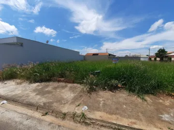 imagem 2 - Jardim Embaré imagem 2 - Jardim Embaré