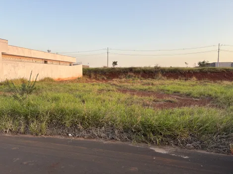 imagem 1 - Terreno - Padrão imagem 1 - Terreno - Padrão