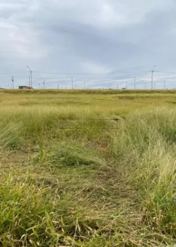 imagem 2 - Terreno - Padrão imagem 2 - Terreno - Padrão