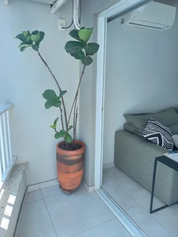 imagem 4 - Apartamento - Padrão imagem 4 - Apartamento - Padrão