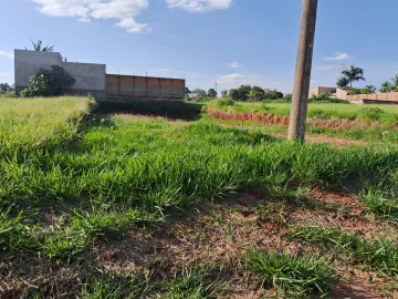 Alugar Terreno / Padrão em Araraquara. apenas R$ 180.000,00