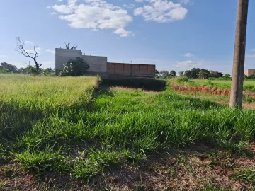 imagem 2 - Terreno - Padrão imagem 2 - Terreno - Padrão