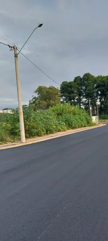 imagem 5 - Terreno - Padrão imagem 5 - Terreno - Padrão