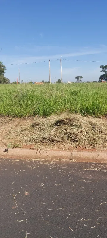 imagem 1 - Terreno - Padrão imagem 1 - Terreno - Padrão