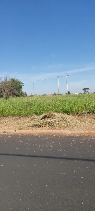 imagem 2 - Terreno - Padrão imagem 2 - Terreno - Padrão