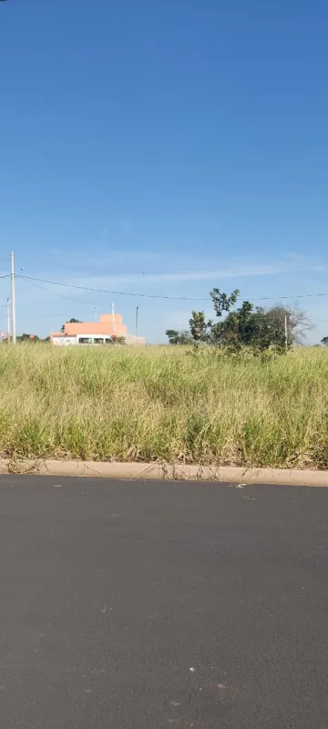 imagem 3 - Terreno - Padrão imagem 3 - Terreno - Padrão