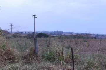 imagem 4 - Rural - Sítio imagem 4 - Rural - Sítio