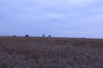 imagem 5 - Rural - Sítio imagem 5 - Rural - Sítio