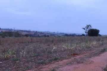 imagem 3 - Rural - Sítio imagem 3 - Rural - Sítio