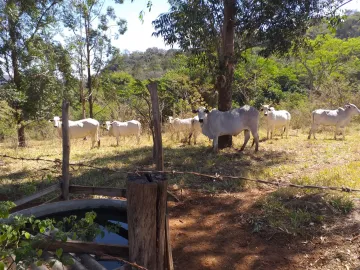 imagem 3 - Rural - Sítio imagem 3 - Rural - Sítio