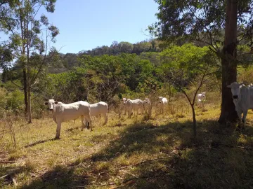 imagem 4 - Rural - Sítio imagem 4 - Rural - Sítio