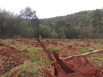 imagem 5 - Rural - Sítio imagem 5 - Rural - Sítio