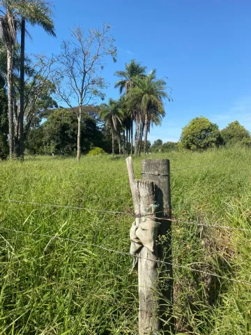 imagem 3 - Terreno para locação em Ibaté imagem 3 - Terreno para locação em Ibaté