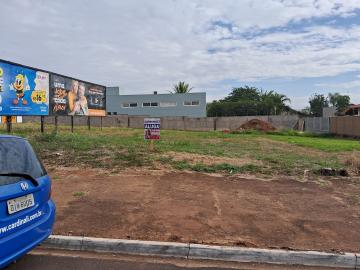 imagem 1 - Comercial - Terreno imagem 1 - Comercial - Terreno