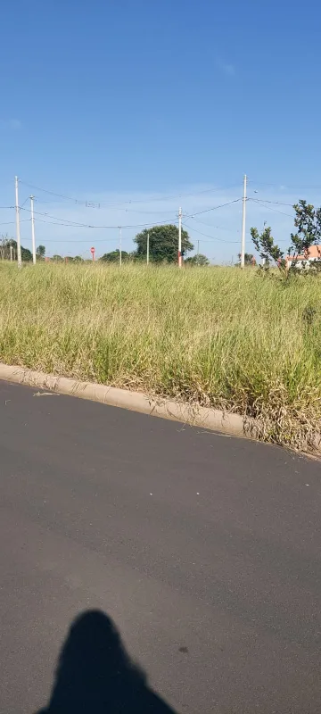 Alugar Terreno / Padrão em São Carlos. apenas R$ 106.000,00