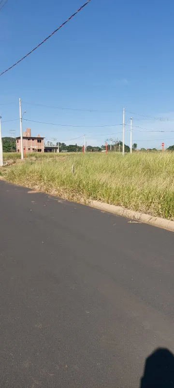 imagem 3 - Excelente lote imagem 3 - Excelente lote