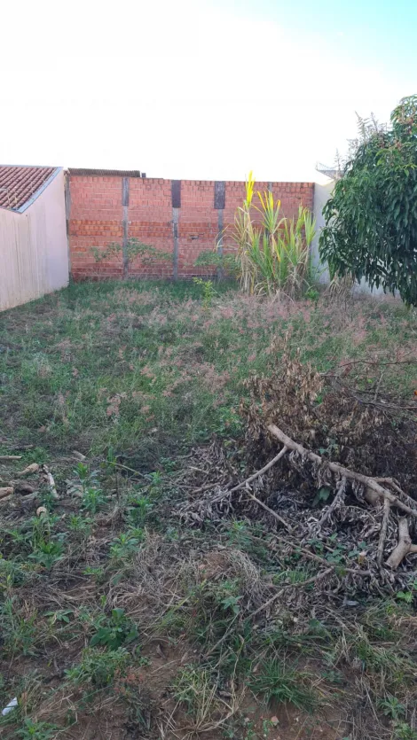 imagem 4 - Terreno em ótima localização. imagem 4 - Terreno em ótima localização.