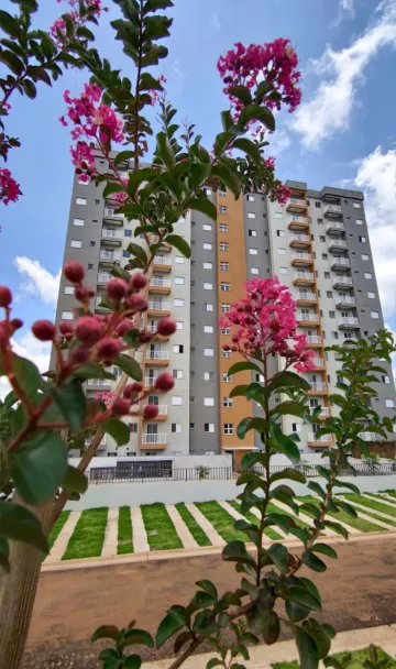 imagem 1 - Apartamento - Padrão imagem 1 - Apartamento - Padrão