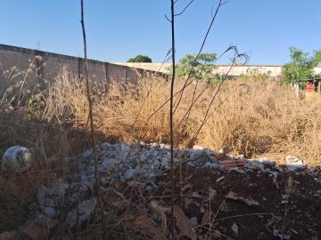 imagem 3 - Comercial - Terreno imagem 3 - Comercial - Terreno