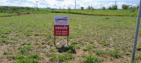 imagem 2 - Terreno - Padrão imagem 2 - Terreno - Padrão