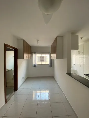 Apartamento com 2 dormitórios na Vila Nery