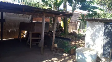 imagem 4 - Terreno Misto na Vila São José imagem 4 - Terreno Misto na Vila São José