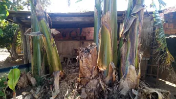 imagem 5 - Terreno Misto na Vila São José imagem 5 - Terreno Misto na Vila São José
