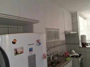 imagem 4 - Apartamento - Padrão imagem 4 - Apartamento - Padrão
