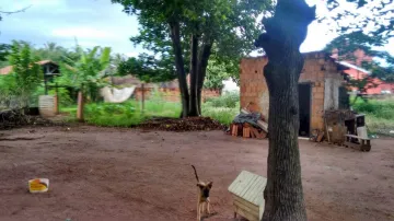 imagem 4 - Rural - Chácara imagem 4 - Rural - Chácara