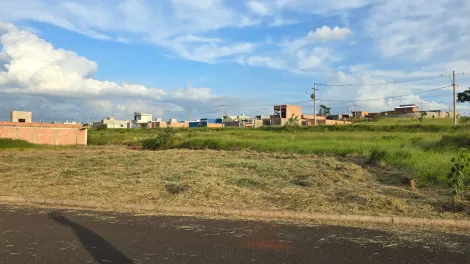 imagem 1 - Terreno - Padrão imagem 1 - Terreno - Padrão