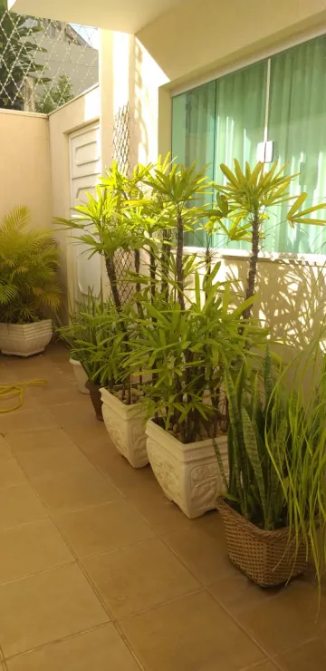 imagem 3 - Casa com três dormitórios sendo um suíte imagem 3 - Casa com três dormitórios sendo um suíte