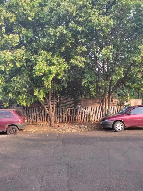 imagem 3 - Rural - Chácara imagem 3 - Rural - Chácara